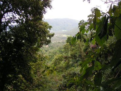 PICT1346.JPG