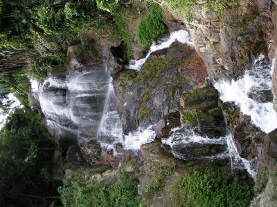 PICT1361.JPG
