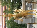 PICT0058_002.JPG