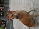 PICT0081_001.JPG