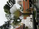 PICT0120_002.JPG
