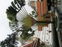 PICT0121_002.JPG