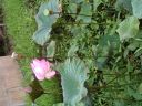 Dateiname=PICT0190.JPG
Dateigröße=409KB
Abmessungen: 1600x1200
hinzugefügt am: 02. Dezember 2015 PICT0190.JPG