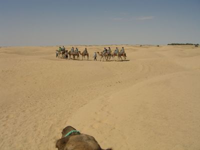CIMG7366.JPG